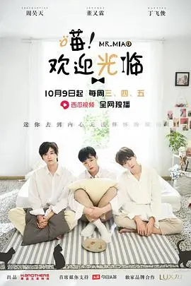 《喵欢迎光临》：撸猫治愈一切！一部让你萌化心灵的温暖喜剧！