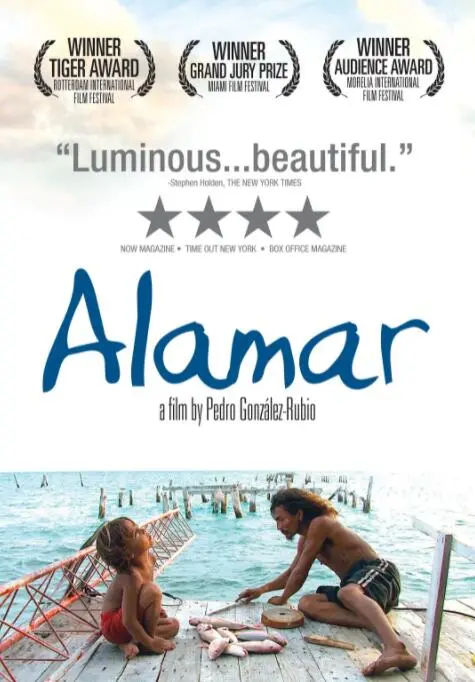 《拥抱大海》：治愈心灵的青春物语，找寻自我与爱的力量