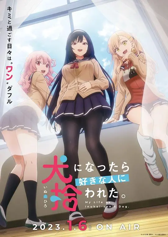 《生而为狗我很幸福》：戳泪的治愈系，人与动物的深情羁绊，看完只想抱抱毛孩子！